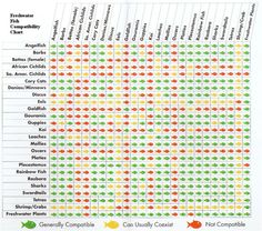 a chart with different colors and numbers on it