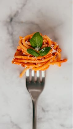 a fork with some pasta on it and spinach sprinkled on the top