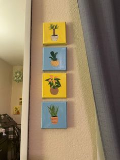 three pots with plants are hanging on the wall