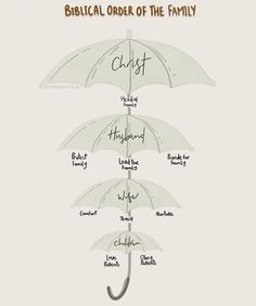 an umbrella labeled with the names of different types of umbrellas