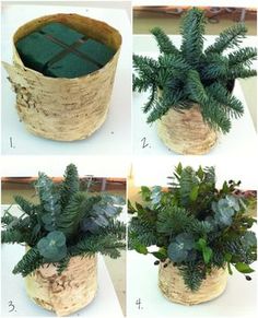 four pictures of different plants in a basket