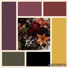 a collage of different shades of purple, yellow and red with flowers in the center