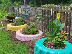 several different types of garden plants in a fenced area