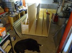 a black dog laying on the floor next to some plywood and other wood pieces