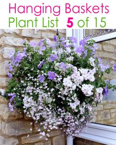 the hanging basket plant list is full of purple and white petunias, with text overlay that reads hanging baskets plant list 5 off 15