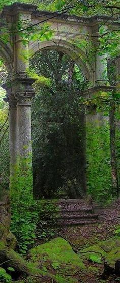 an old building in the middle of a forest with moss growing on it's walls