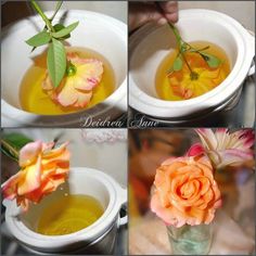 four pictures showing different stages of flowers being used to make soaps and teas