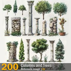 various trees and shrubs are shown in this book cover for 200 columns and trees reference image