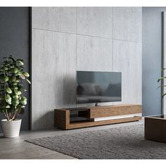 a living room scene with focus on the entertainment center and potted plant in the foreground