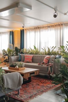 a living room filled with furniture and lots of plants