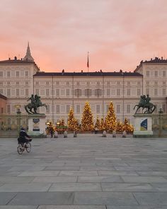 a person riding a bike in front of a large building with christmas trees and lights