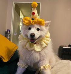 a white dog wearing a yellow hat and scarf on top of it's head