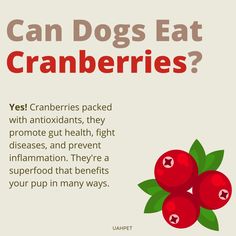 an advertisement for cranberries with the caption can dogs eat cranberries?