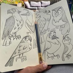 someone holding an open book with drawings of birds and owls on it's pages