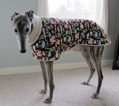 a dog wearing a sweater standing in front of a window