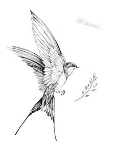 a black and white drawing of a bird flying