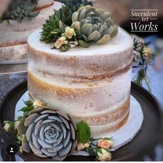 there are two cakes with succulents on top