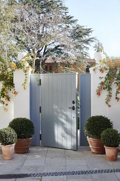 an entrance to a home with potted plants