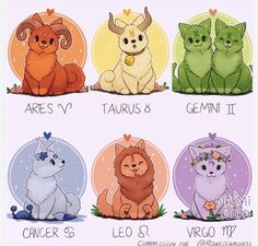 four zodiac signs with cats and dogs sitting in the same circle, all different colors