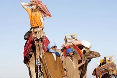 some people are riding camels and one is wearing a blue turban with a woman on top