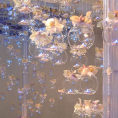 some clear vases filled with flowers and hanging from the ceiling in front of a window