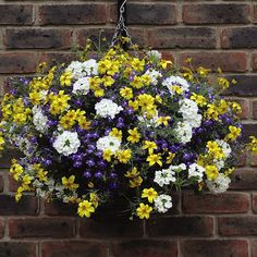 a hanging basket filled with yellow, white and purple flowers next to a brick wall