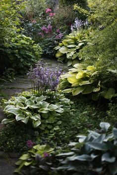 a garden filled with lots of green plants and flowers next to a stone path surrounded by greenery