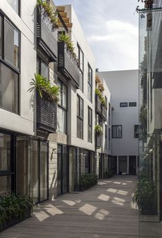 an empty walkway between two buildings with plants growing on the balconies and windows