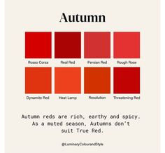 Strong Autumn Color Palette, Season Palette, Bright Autumn