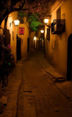 an alley way with lights and plants on either side at night time, lit up by street lamps