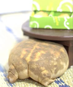 a small turtle laying on top of a table next to a stack of books and a green box