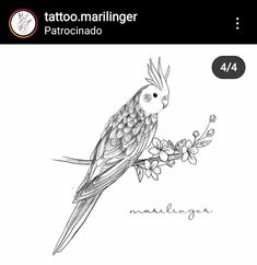 a bird sitting on top of a tree branch next to a white sign with the words tattoo