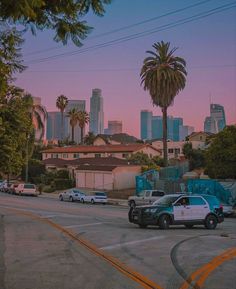 a city street with cars parked on the side and palm trees in the foreground