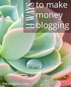 a close up of a plant with the words how to make money blogging