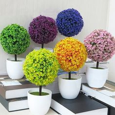 four potted plants are sitting on top of each other in front of a book