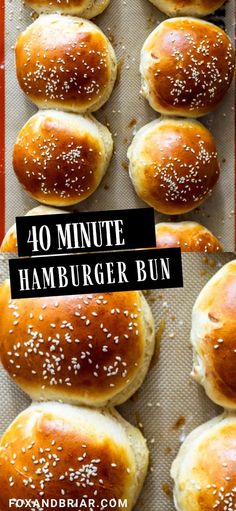 the buns are covered in sesame seeds