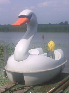 an inflatable duck boat on the water