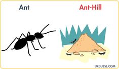 an ant and a pyramid with the words ant - hill