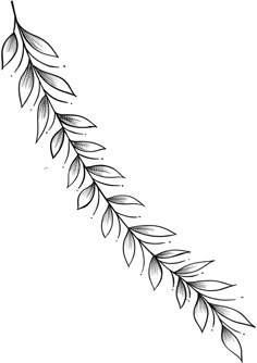 a black and white drawing of leaves