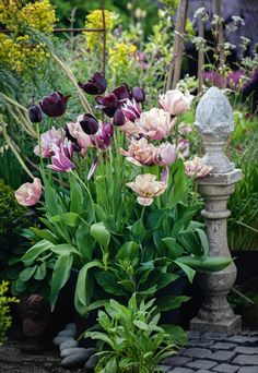 a garden filled with lots of purple flowers