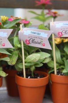 small potted plants with thank you signs in them for someone's special occasion