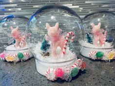 three snow globes with pigs and candy canes in them sitting on a counter