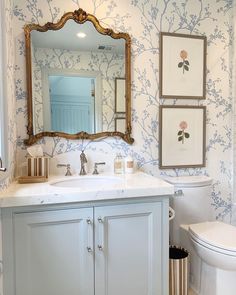 a white toilet sitting next to a bathroom sink under a mirror on top of a wall