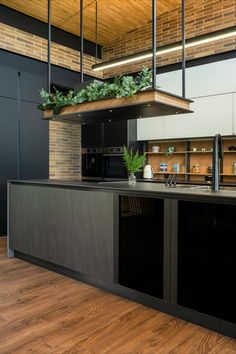 a kitchen with black cabinets and an island that has plants growing on the counter top