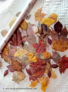 some leaves and a marker on a quilt