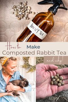 how to make composted rabbit tea and why it's good for you