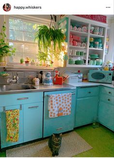 a cat sitting on the floor in a kitchen next to a sink and cabinets with plants