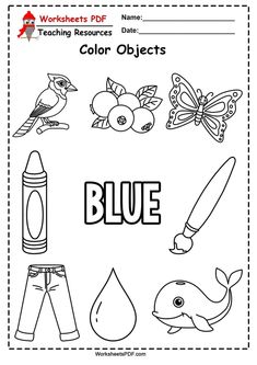 blue worksheet with the words, color objects and other things to be colored