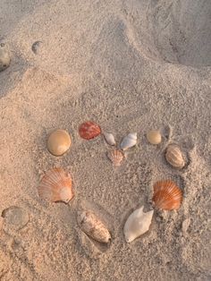 several seashells are arranged in the shape of a heart on the beach sand