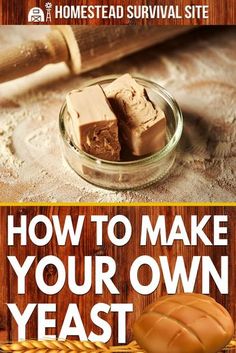 how to make your own yeast bread in the hometead survival site, with text overlay